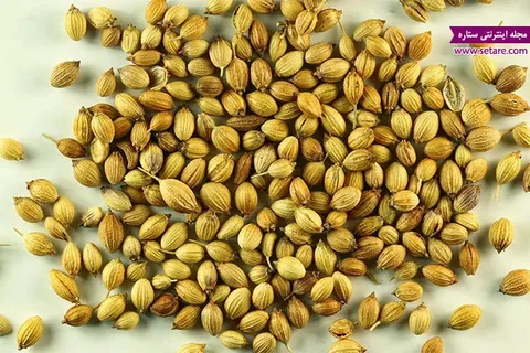 تصویر 3 از خرید و قیمت تخم گشنیز خشک + فروش عمده
